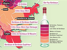 Wine Maps